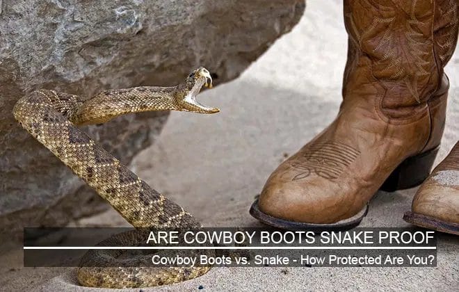 Are Cowboy Boots Snake Proof? – What You Need To Know