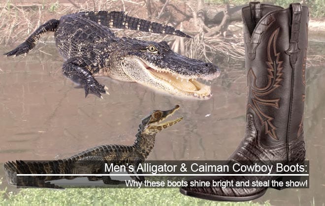 Men’s Alligator & Caiman Cowboy Boots: Why These Boots Shine Bright And Steal The Show!